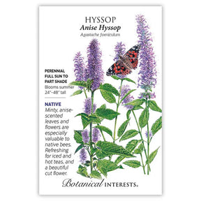 Hyssop Anise Seeds