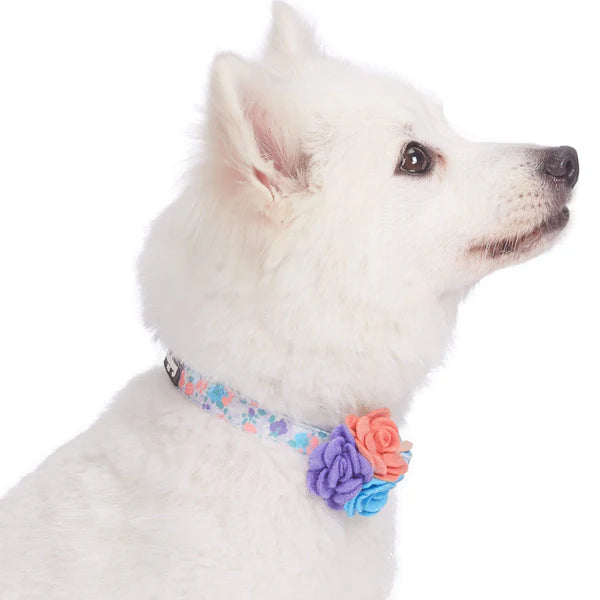 Lavender | Made Well Floral Dog Collar