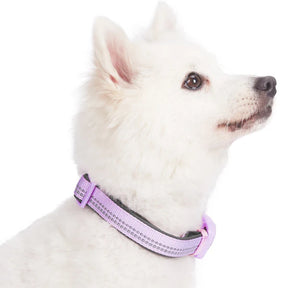 Lavender | 3M Reflective Padded Dog Collar