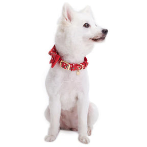 Polka Dot | Luxurious Christmas Festival Dog Collar