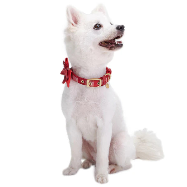 Red Plaid | Luxurious Christmas Festival Dog Collar