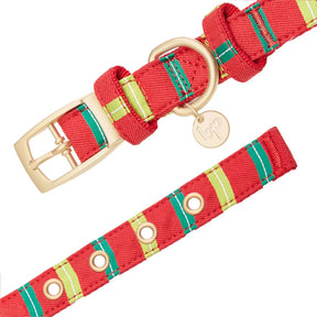 Stripes | Luxurious Christmas Festival Dog Collar