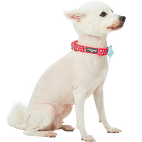 Lust Red | Dotted Velvet Heart Dog Collar