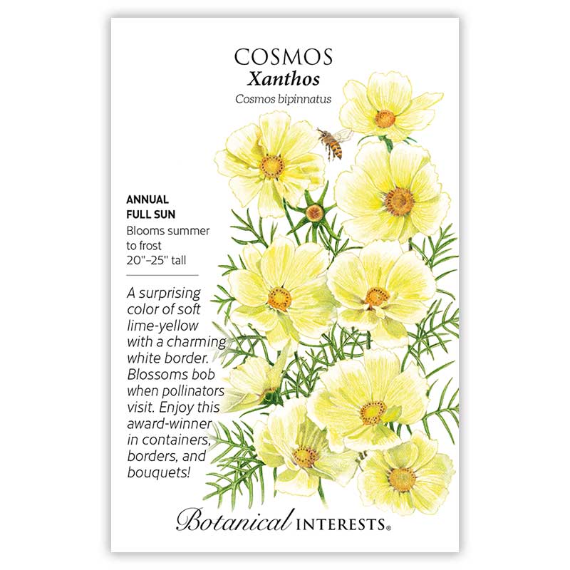 Botanical Interests, Inc. - Cosmos Xanthos Seeds
