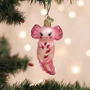 Old World Christmas - Axolotl with Candy Cane Ornament