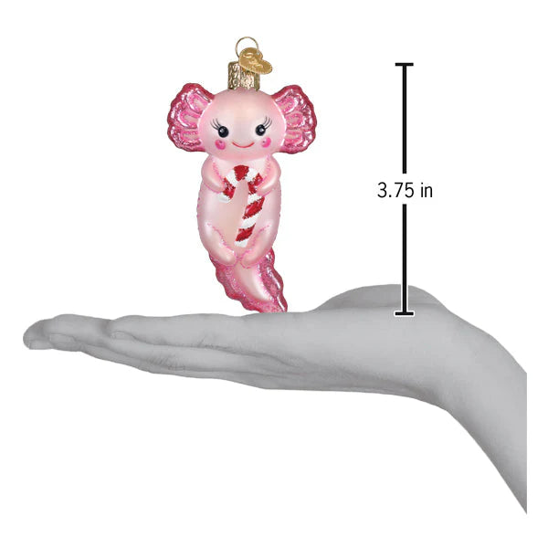 Old World Christmas - Axolotl with Candy Cane Ornament
