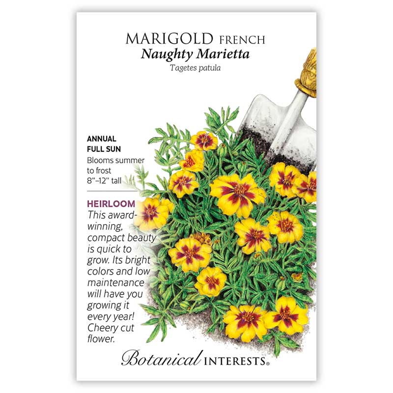 Marigold French Naughty Marietta Seeds