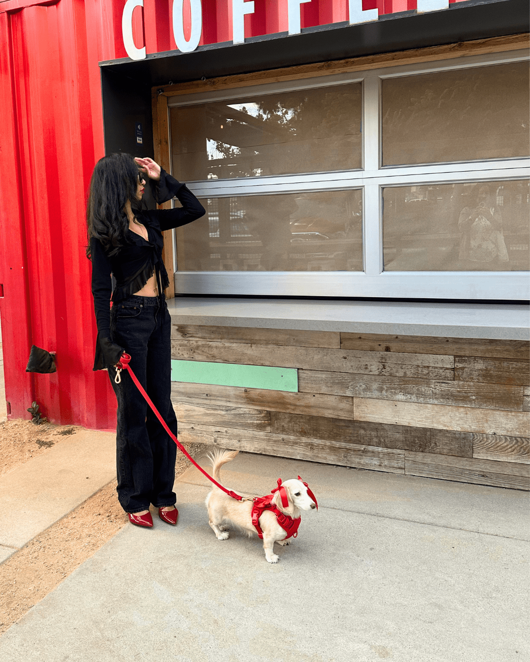Furry Muse - Leash Wander Multiway