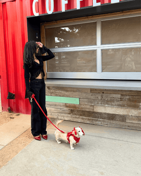 Furry Muse - Leash Wander Multiway