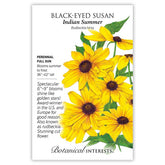 Black-Eyed Susan Indian Summer Seeds