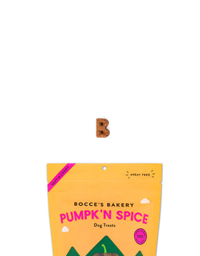 Pumpk'n Spice Soft & Chewy Dog Treats