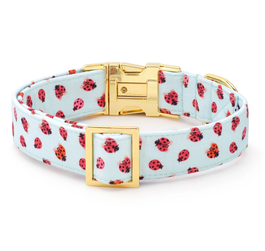 Dog Collar Love Bug