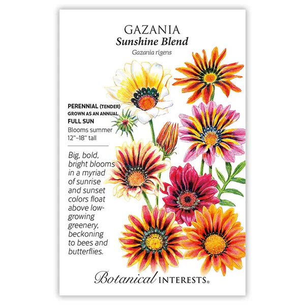 Gazaniz Sunshine Blend Seeds