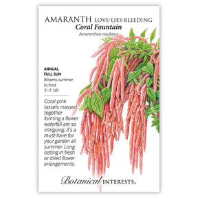 Botanical Interests, Inc. - Amaranth Coral Fountain Annual