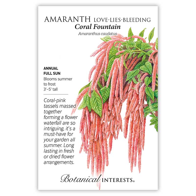 Botanical Interests, Inc. - Amaranth Coral Fountain Annual