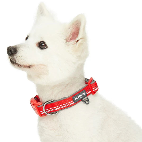 Red | 3M Padded Adjustable Reflective Dog Collar