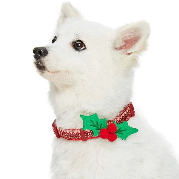 Holly | Christmas Dog Collar