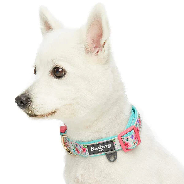 Green | Floral Prints Neoprene Padded Dog Collar