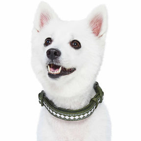 Olive Jacquard Pattern | 3M Reflective Neoprene Quick-Release Dog Collar