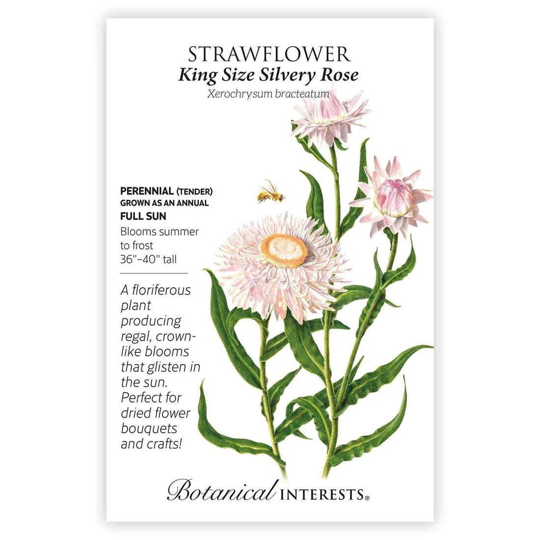 Botanical Interests, Inc. - Strawflower King Size Silvery Seeds