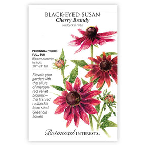 Black-Eyed Susan Cherry Brandy Seeds