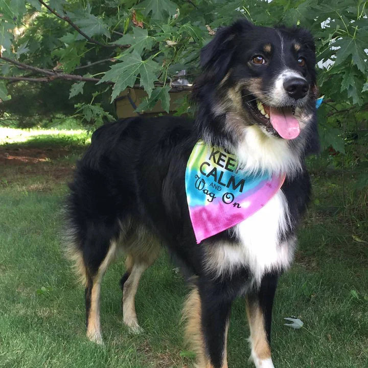 FunDog Bandanas - Dog Bandana Keep Calm And Wag