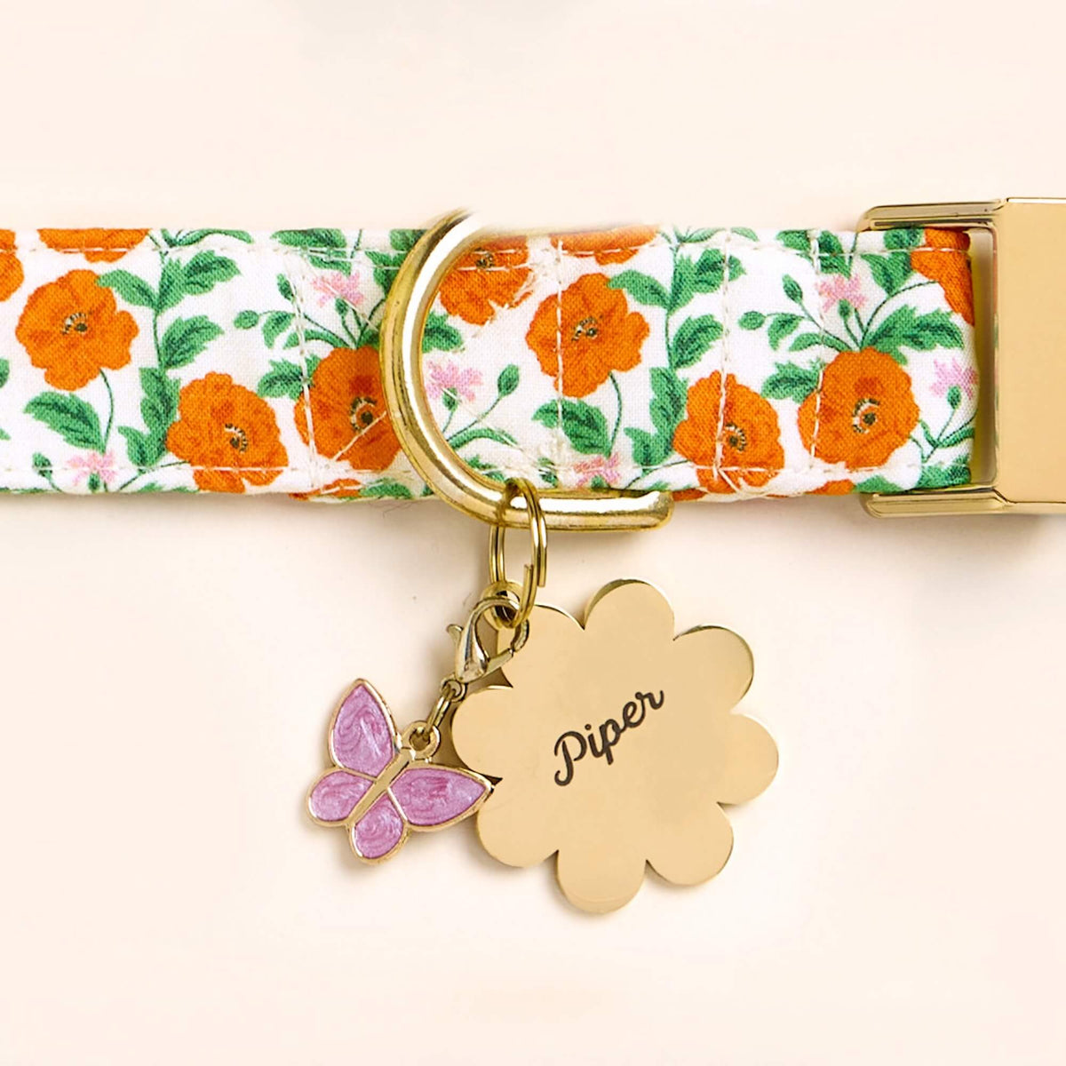 The Foggy Dog - Dog Collar Golden Poppies