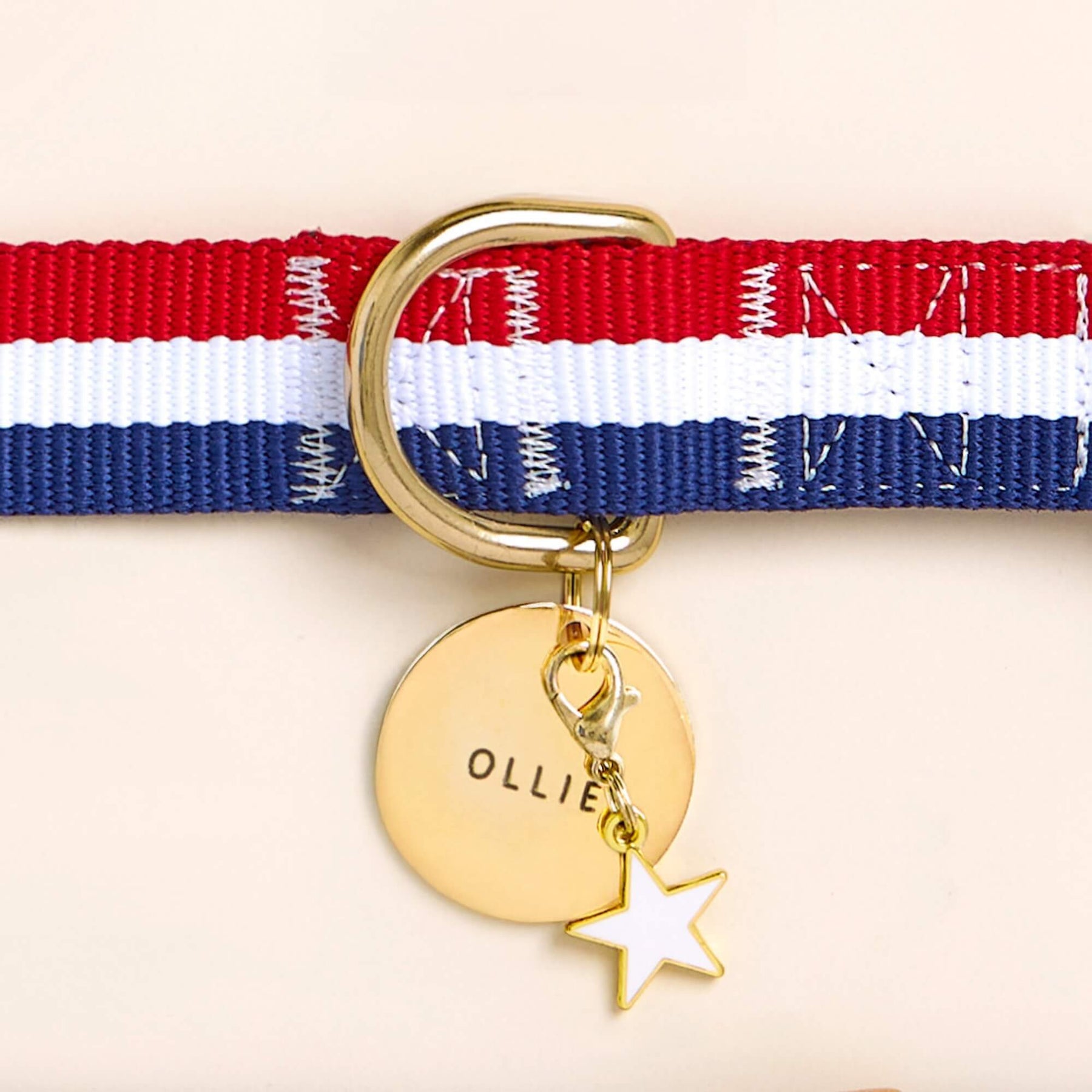 The Foggy Dog - Dog Collar Newport Striped