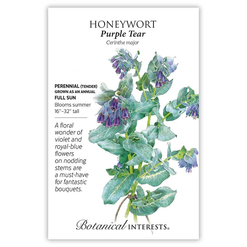 Botanical Interests, Inc. - Honeywort Purple Tear Seeds