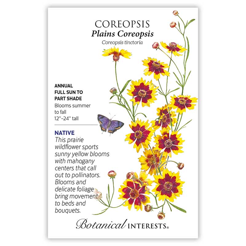 Coreopsis Plains Coreopsis