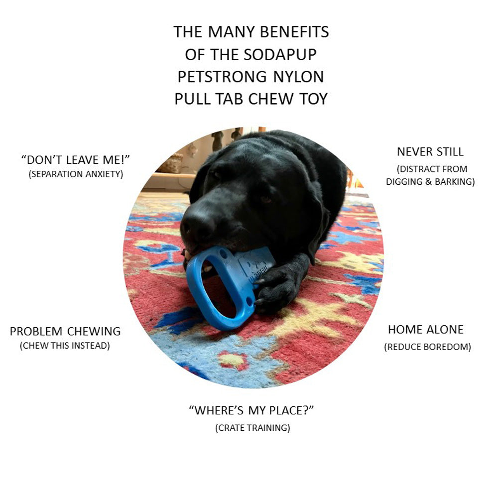 Soda Can Pull Tab Power Chewer Dog Toy