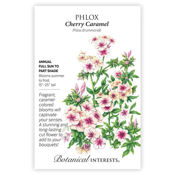 Phlox Cherry Carmel Seeds