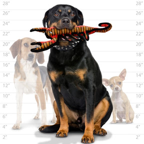 Tuffy Dog Toys - Tuffy Desert Scorpion