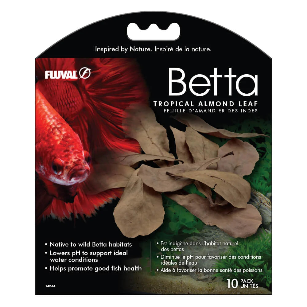 Betta Tropical Almond Leaf