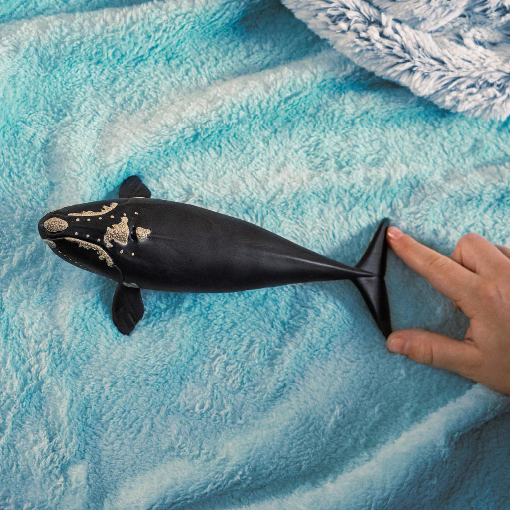 Schleich - North Atlantic Right Whale