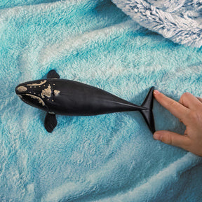 Schleich - North Atlantic Right Whale
