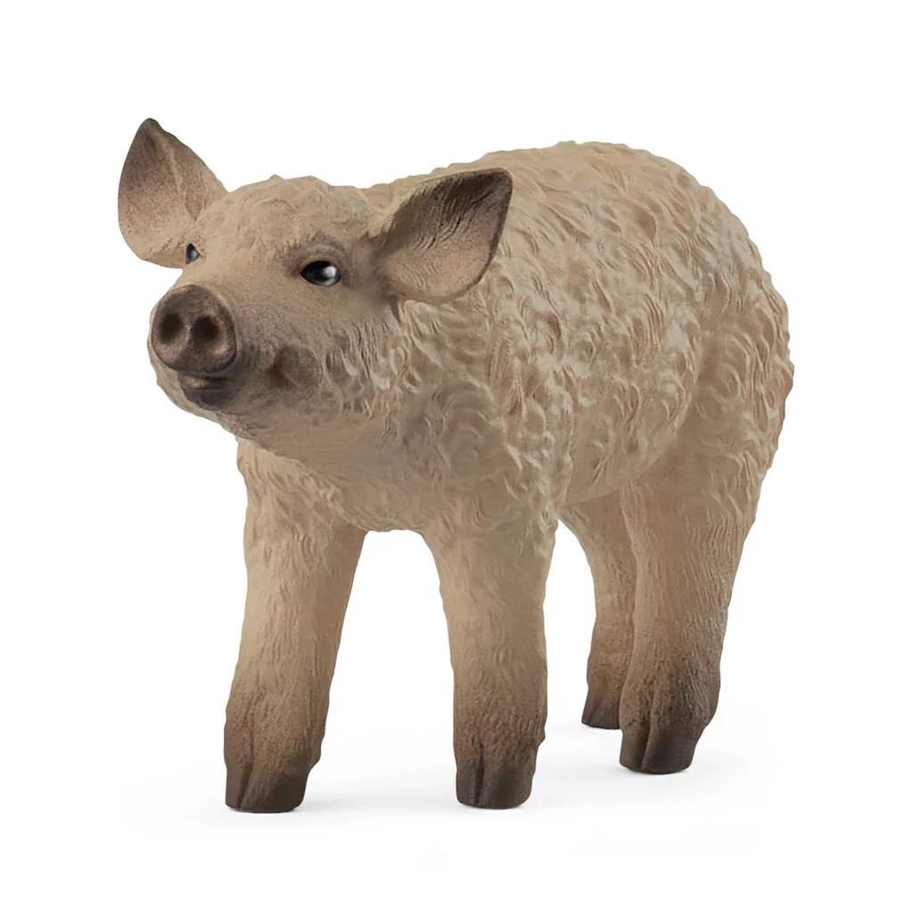 Schleich - Mangalica Piglet