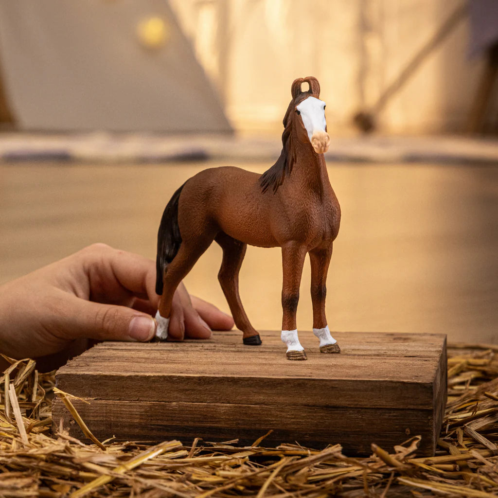 Schleich - Marwari Mare