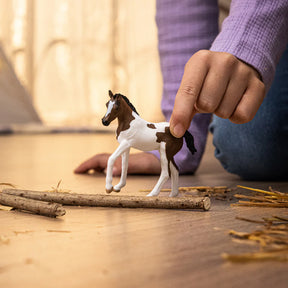 Schleich - Paint Horse Foal