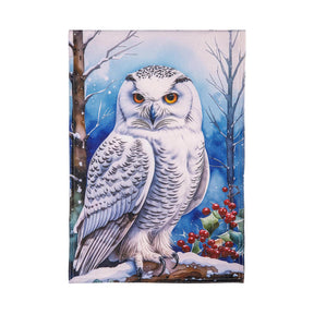 Evergreen Enterprises - Flag Snow Owl