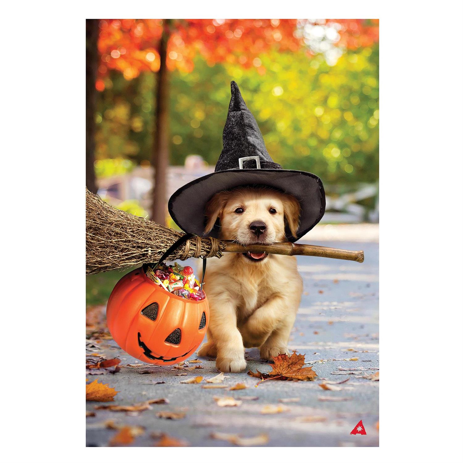 Evergreen Enterprises - Flag Goldens With Broom
