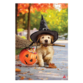 Evergreen Enterprises - Flag Goldens With Broom