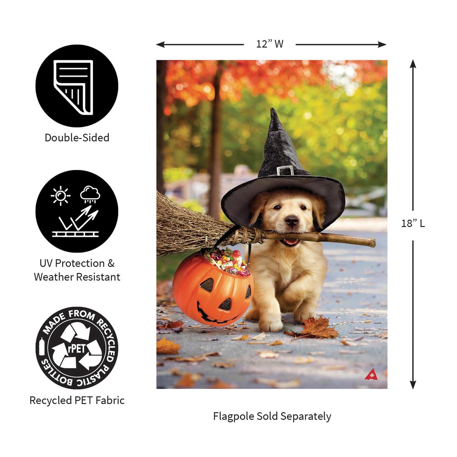 Evergreen Enterprises - Flag Goldens With Broom