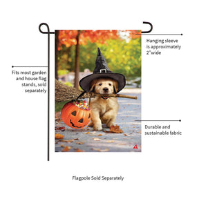 Evergreen Enterprises - Flag Goldens With Broom