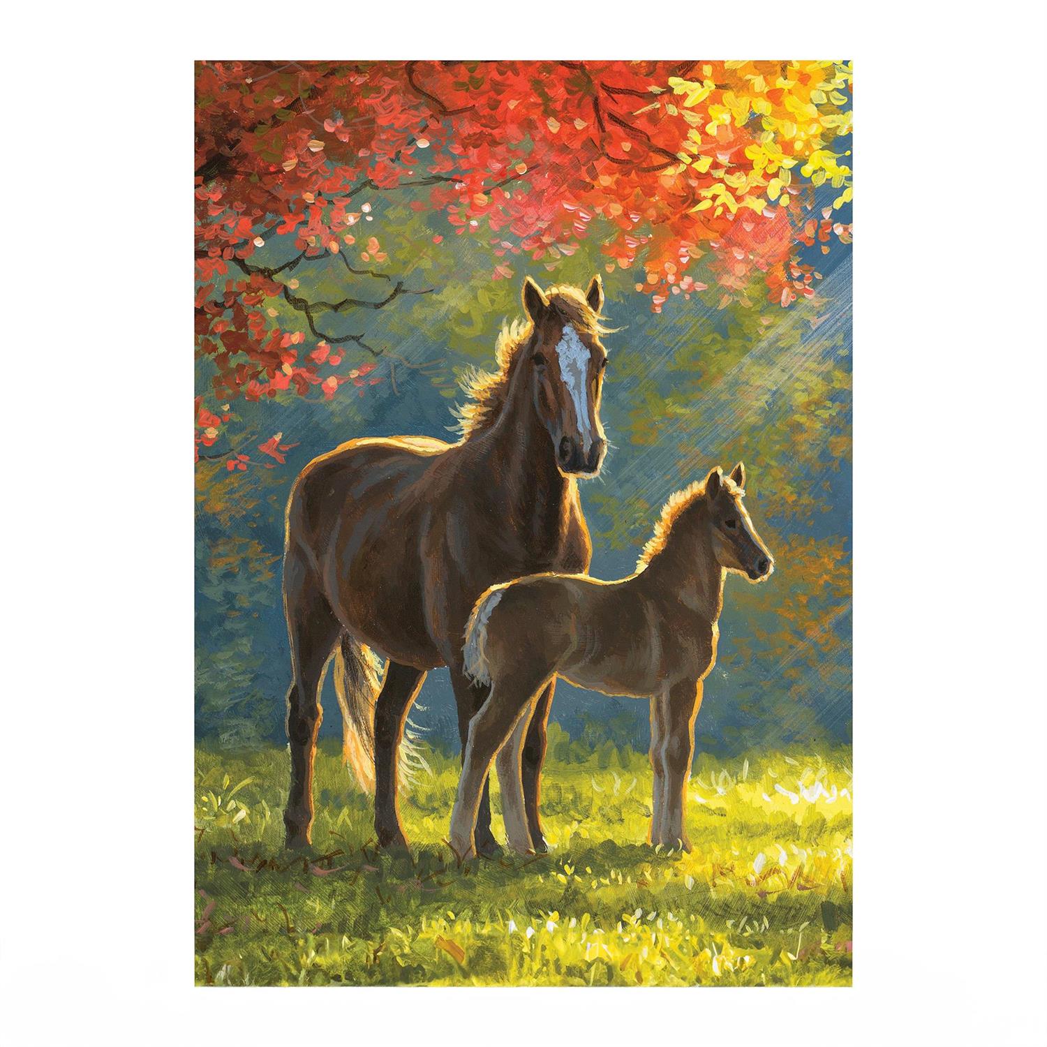 Evergreen Enterprises - Flag Family Time