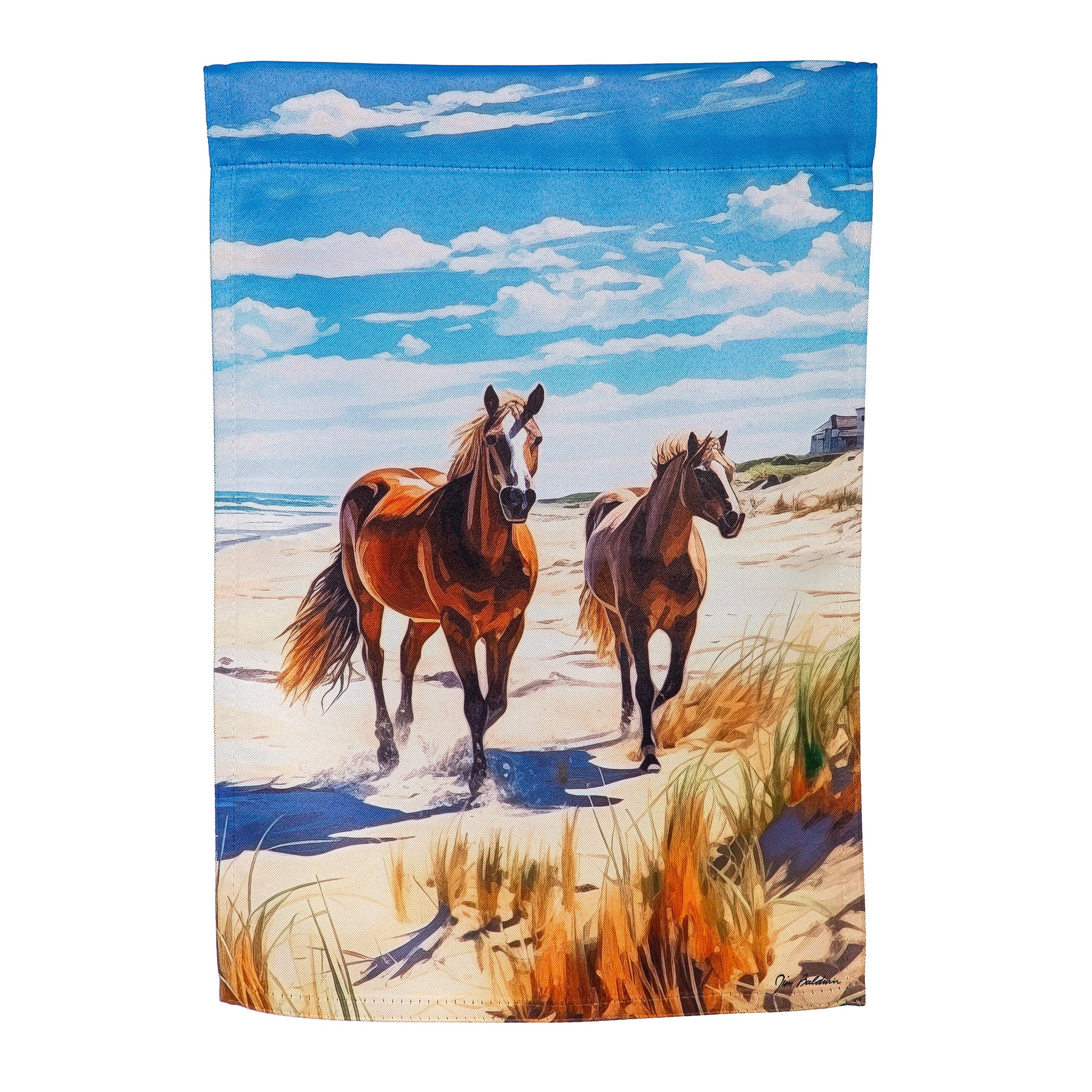 Flag Horses on the Beach