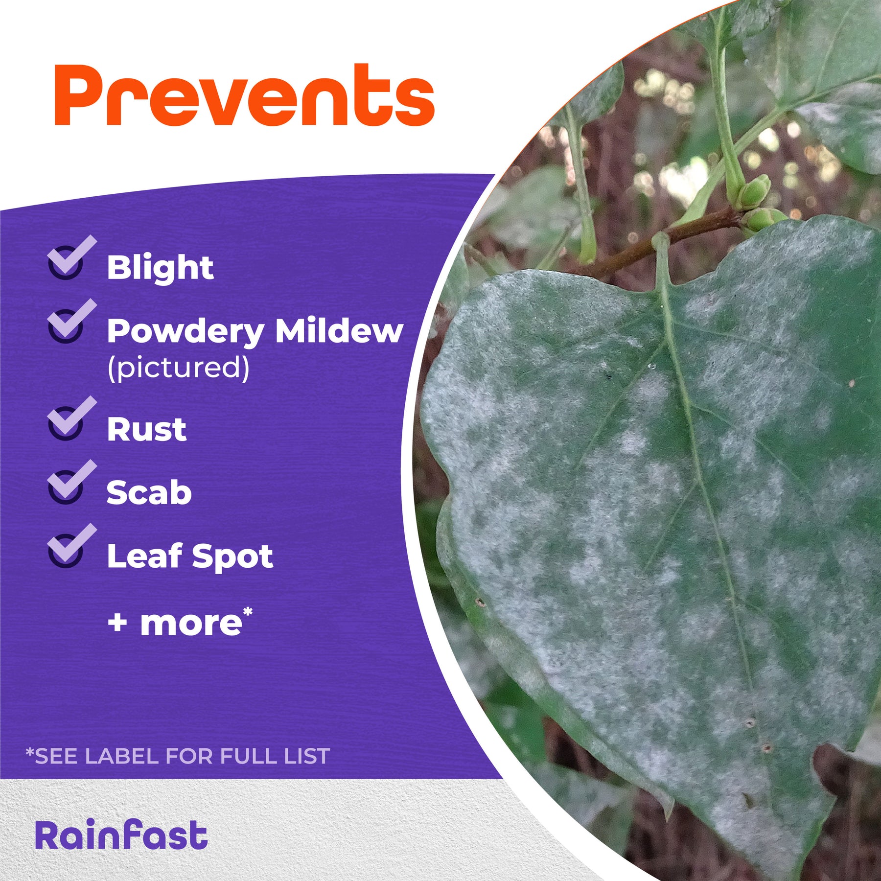 Bonide - Infuse Lawn & Landscape RTU