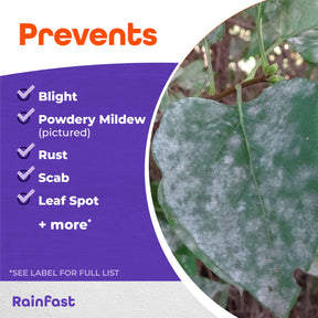 Bonide - Infuse Lawn & Landscape RTU