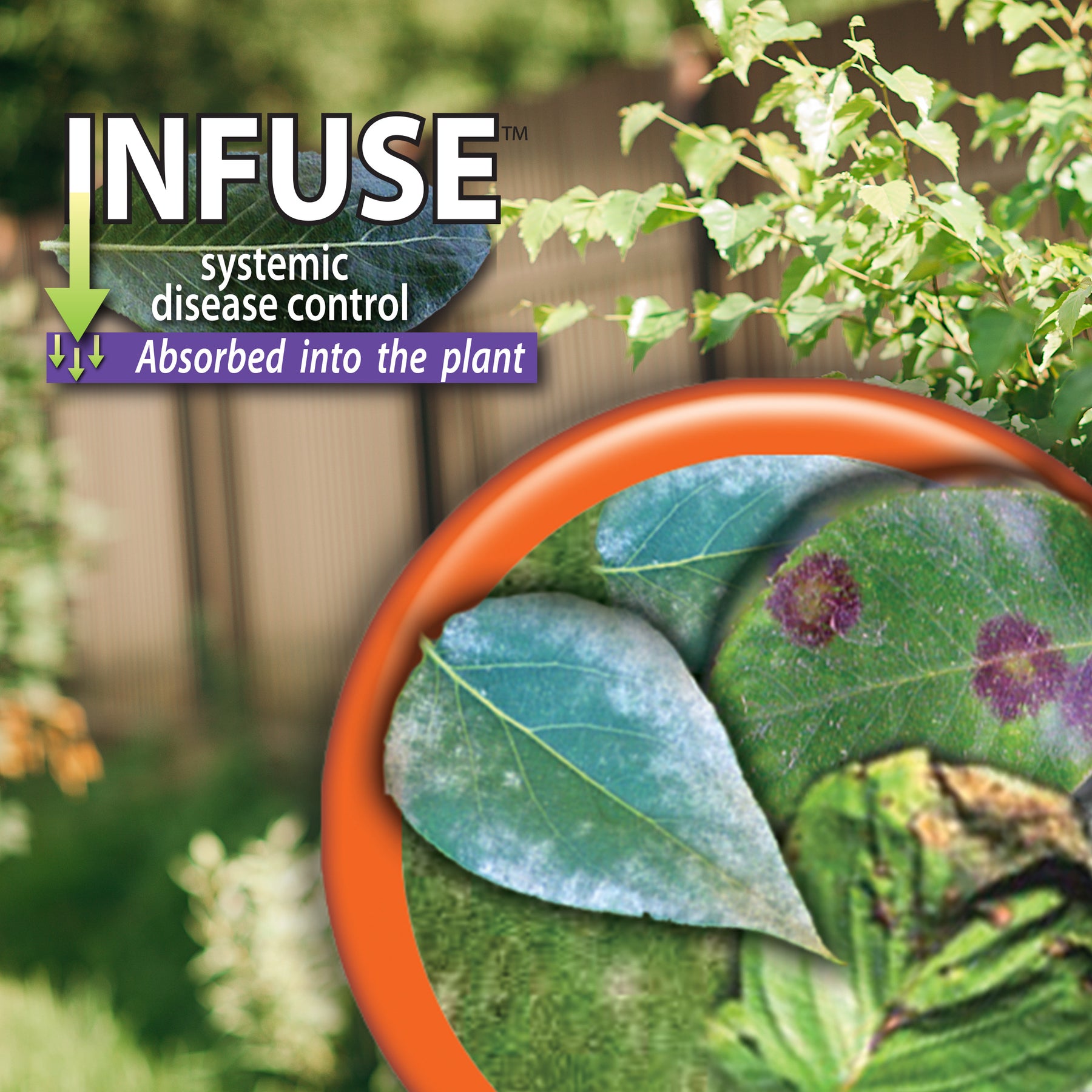 Bonide - Infuse Lawn & Landscape RTU