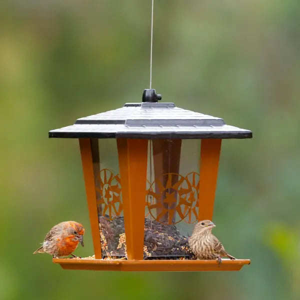 Perky Pet - Lantern Sun & Stars Bird Feeder
